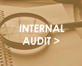 Internal.Audit_Block