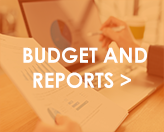 Budgets and Reports