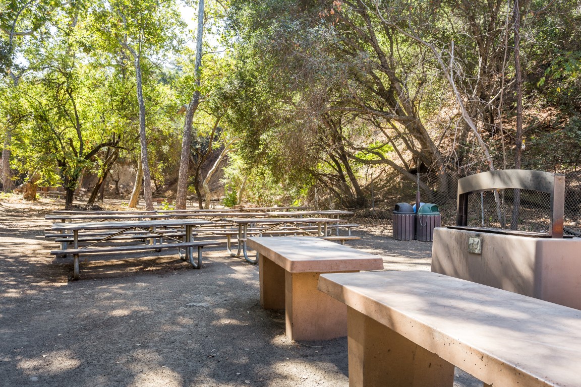 Blackberry Farm Bobcat Picnic Area 2