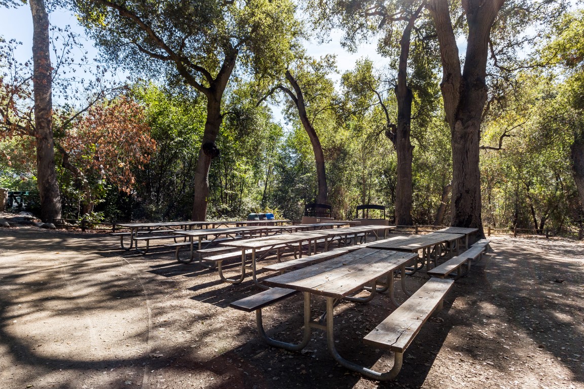 Blackberry Farm Owl Picnic Area