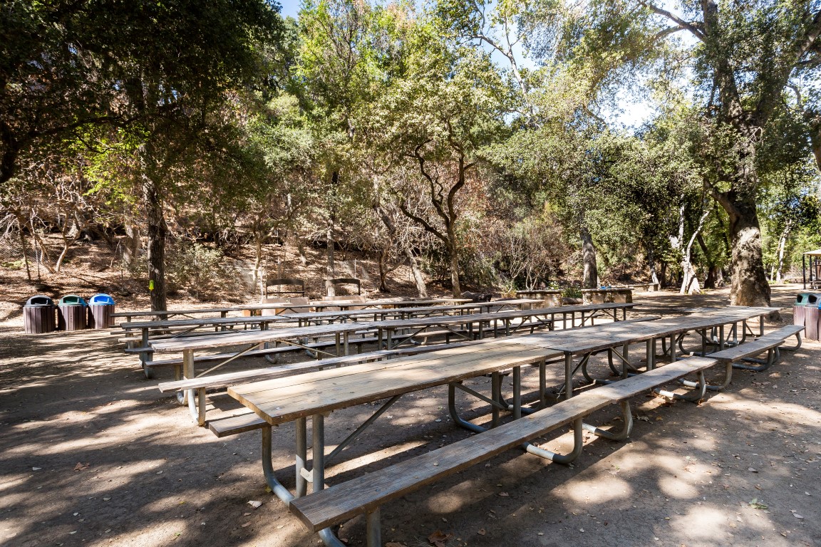 Blackberry Farm Sycamore Picnic Area