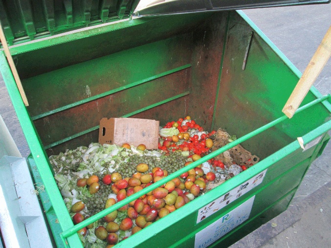 Compost Bin