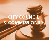 City Council and Commissions