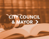 City Council and Mayor