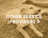 Other Service Providers