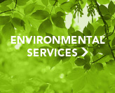 Environmental Services