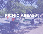 Picnic-Sites